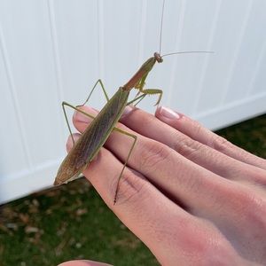 Meet your Posher, Jayden